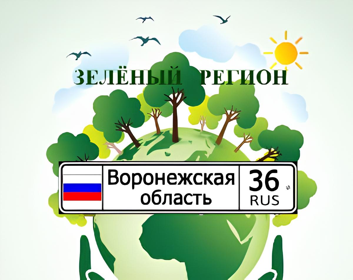 36 регион.jpg
