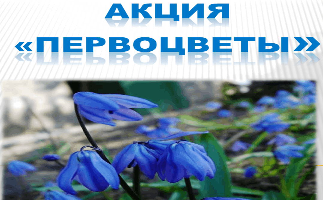 b921d327-0bf9-521f-b08f-e2aba280057f.png