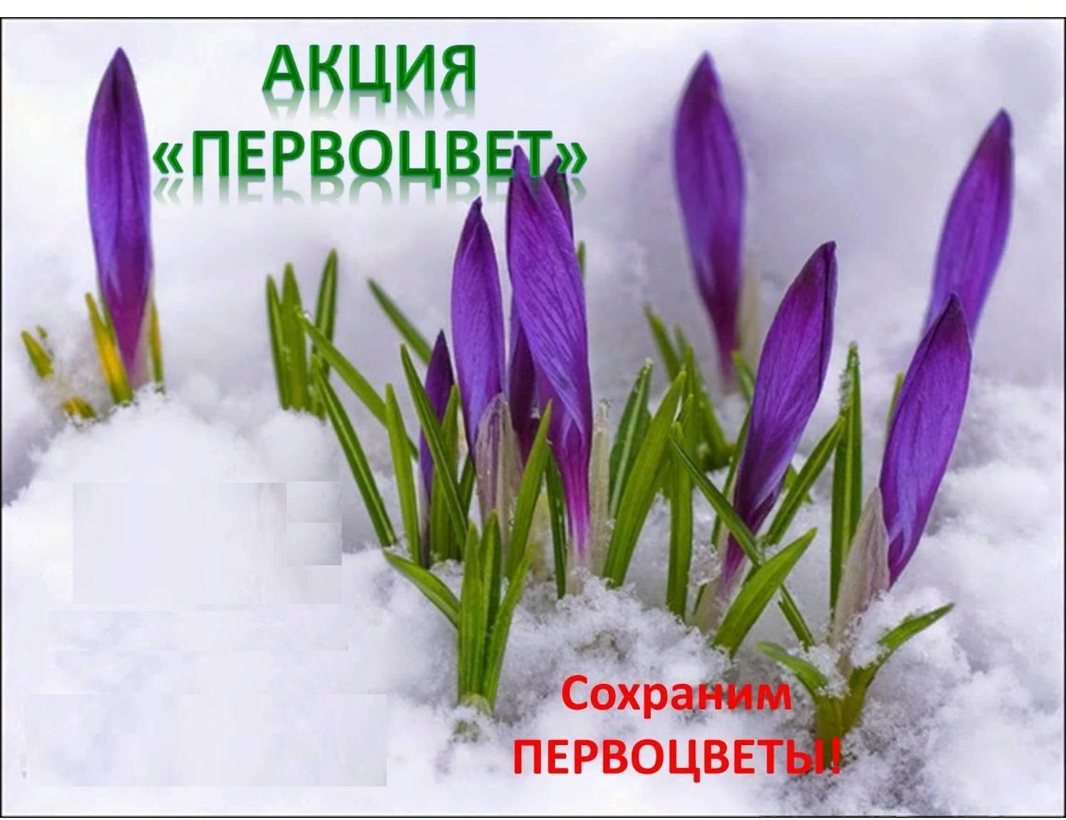 bfc817f6-a0de-59a8-839b-73c99044329e.jpg