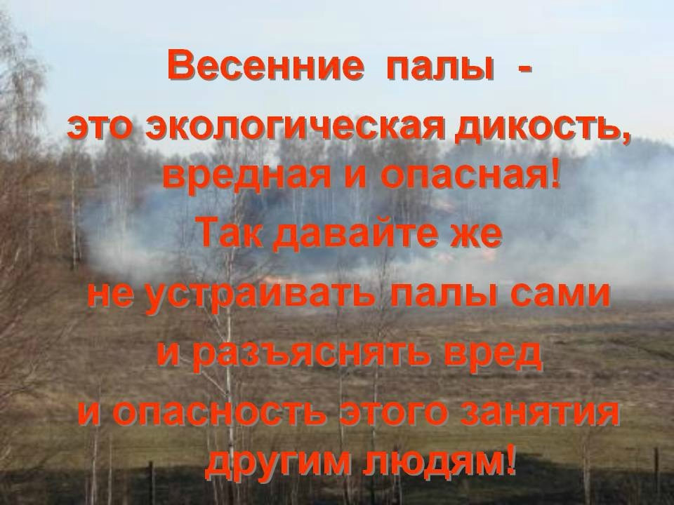 mfk6DrSukEmnzwtVBStD1E-hXir4_mgthchA8j253seVv4Q2jcMP9tmLXvw3wEAQecR7Dz4cCs7uVo-mweF2tyEt.jpg